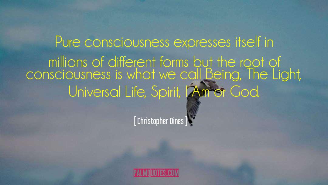 Krishna Consciousness quotes by Christopher Dines