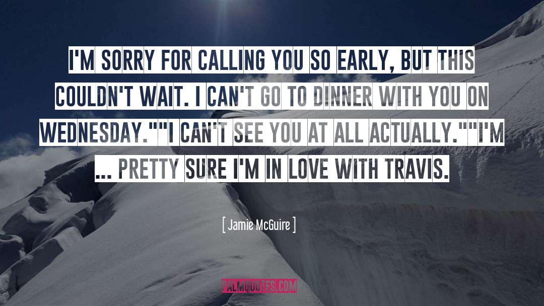 Kristine Mcguire quotes by Jamie McGuire