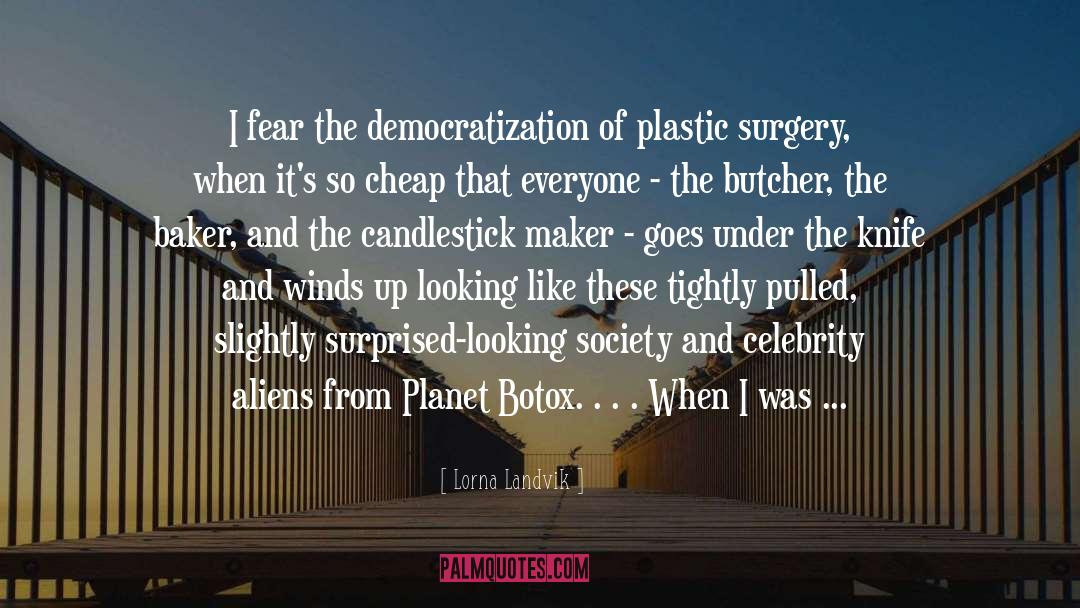 Kronowitz Plastic Surgery quotes by Lorna Landvik