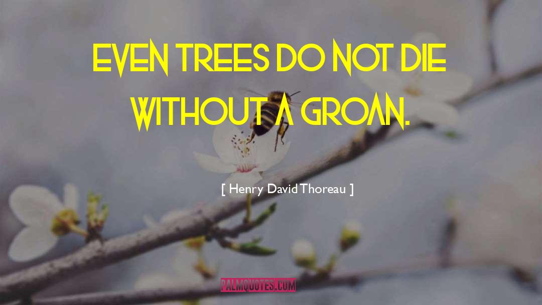 Krumholtz David quotes by Henry David Thoreau