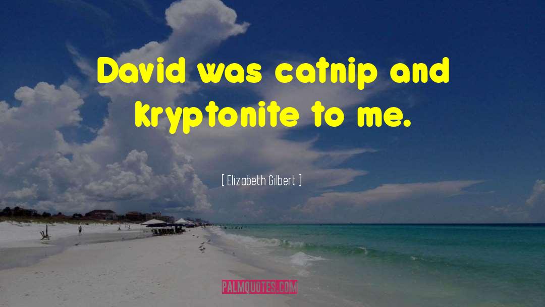 Kryptonite quotes by Elizabeth Gilbert