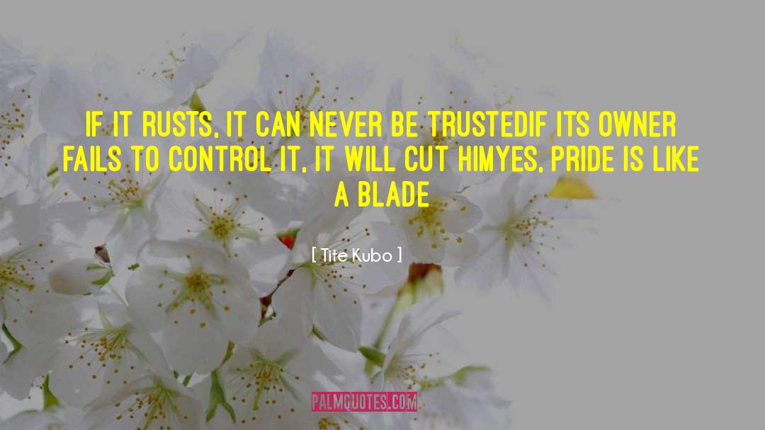 Kubo quotes by Tite Kubo