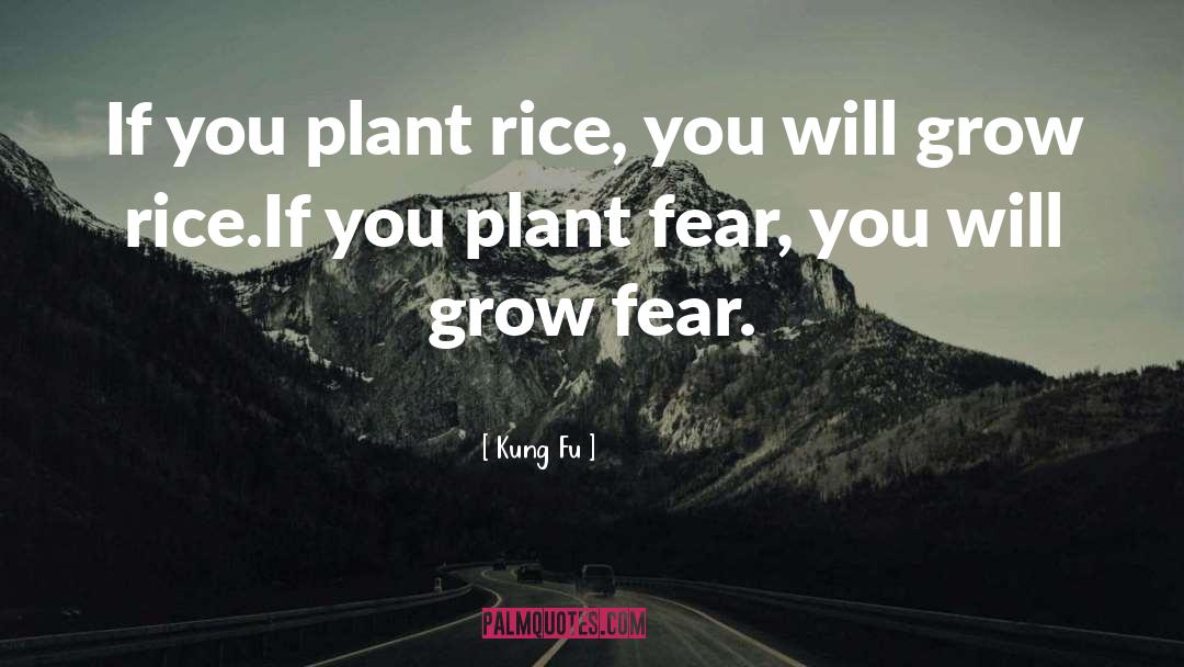 Kung Fu quotes by Kung Fu