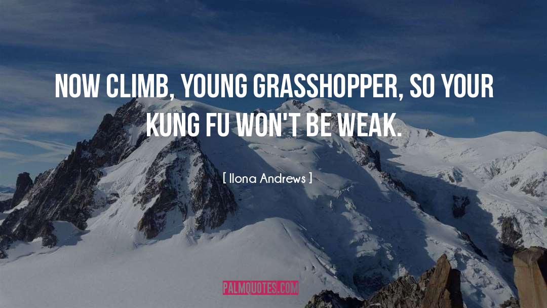 Kung Fu quotes by Ilona Andrews