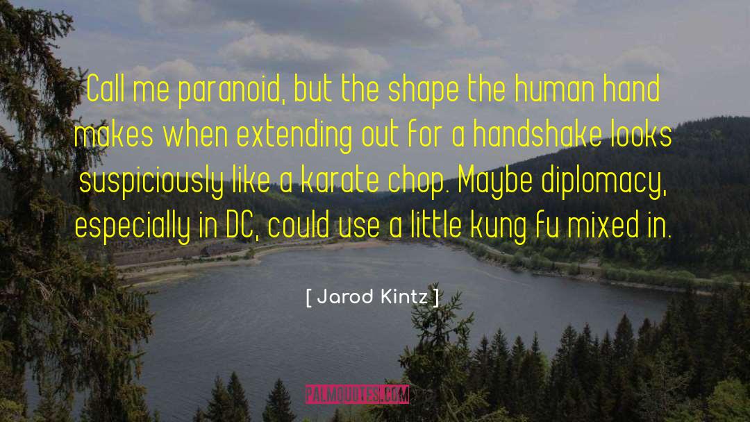 Kung Fu quotes by Jarod Kintz