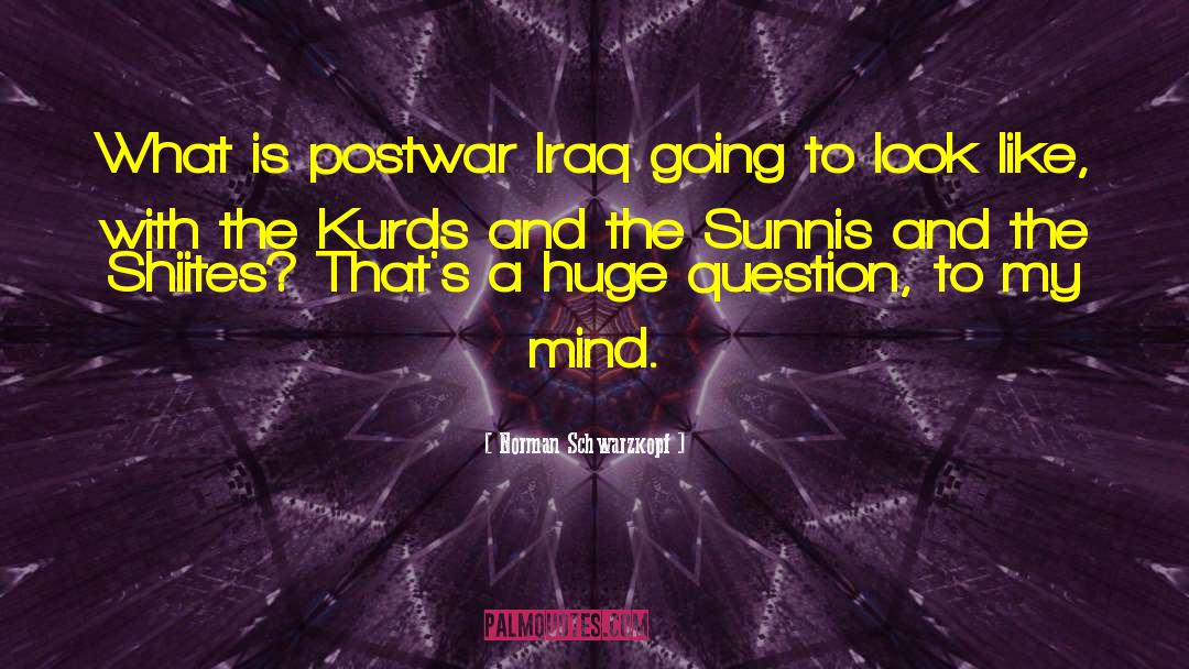 Kurds quotes by Norman Schwarzkopf