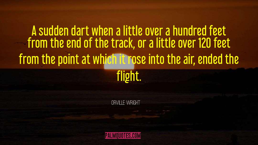 Kushiel S Dart quotes by Orville Wright