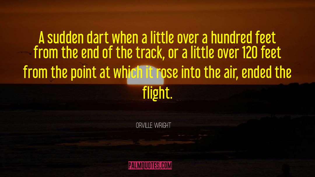 Kushiels Dart quotes by Orville Wright