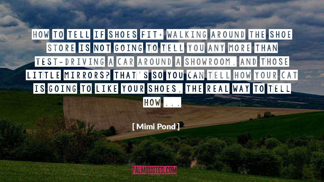 Kuusisto Shoes quotes by Mimi Pond