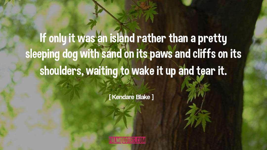 Lab Dog quotes by Kendare Blake