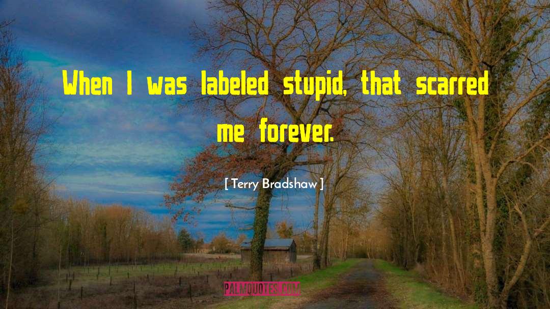 Labeled quotes by Terry Bradshaw