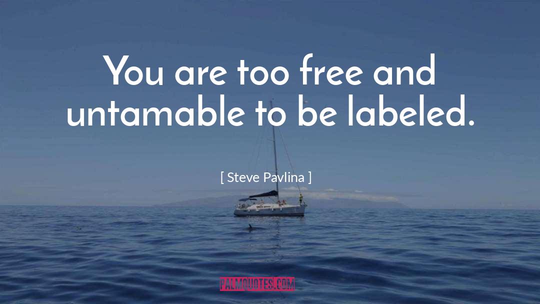 Labeled quotes by Steve Pavlina