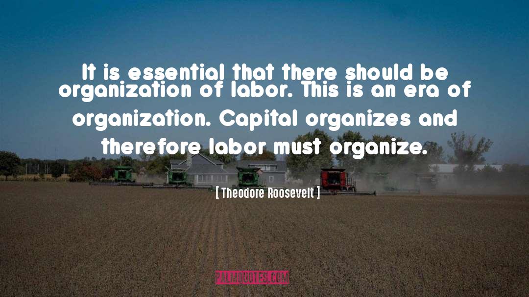 Labor Union quotes by Theodore Roosevelt
