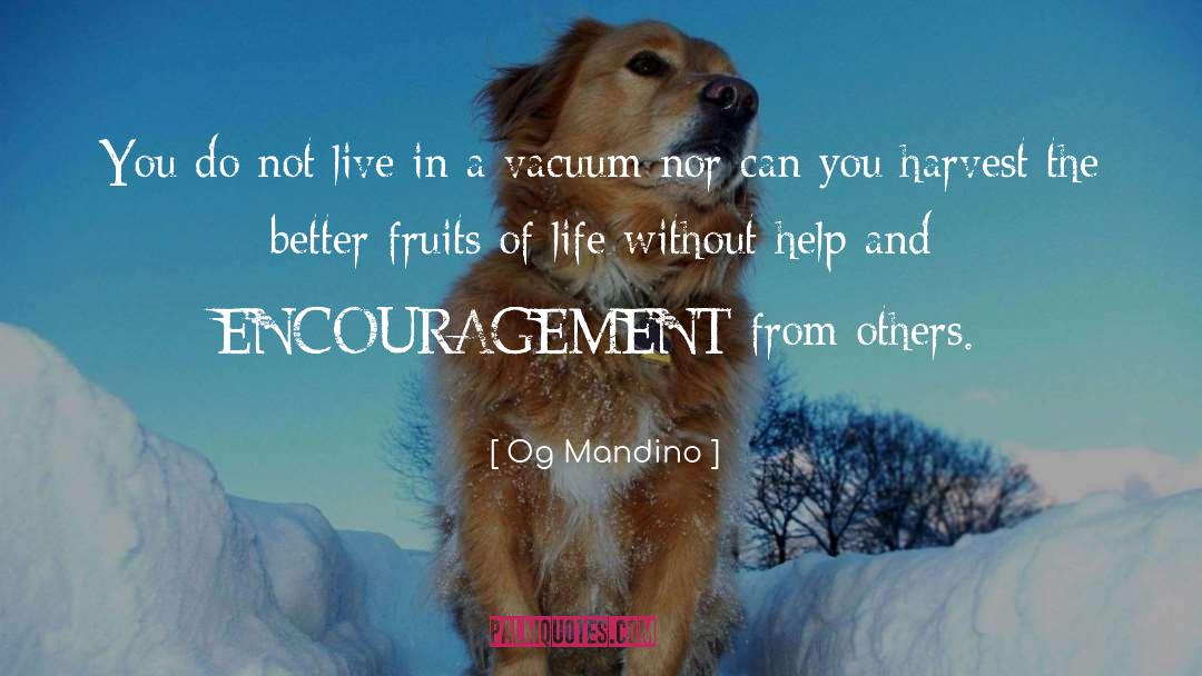 Labor Without Fruit quotes by Og Mandino