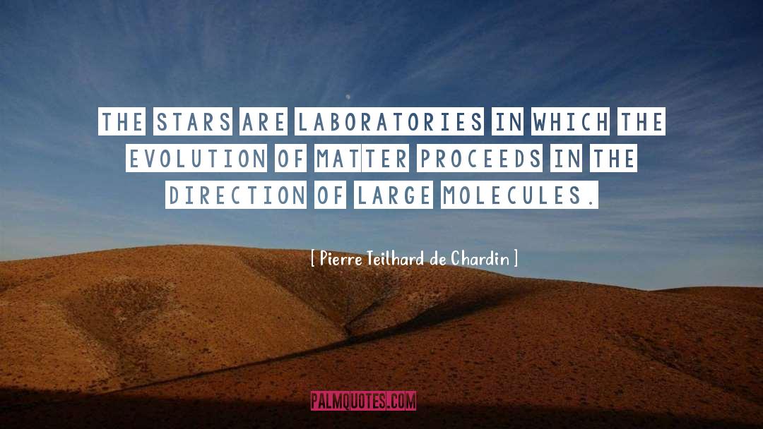 Laboratories quotes by Pierre Teilhard De Chardin