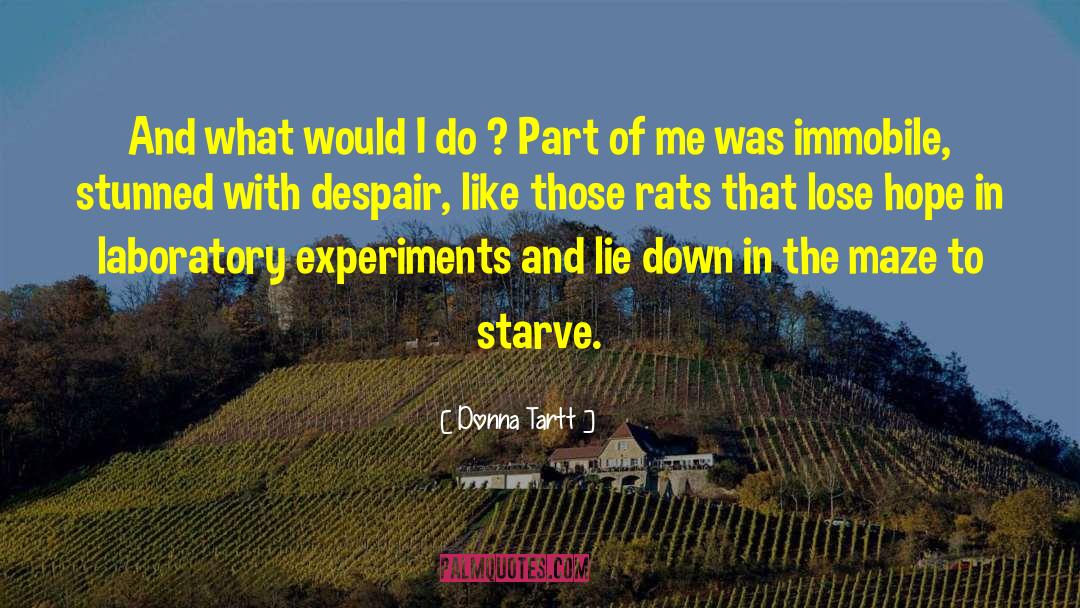 Laboratory quotes by Donna Tartt