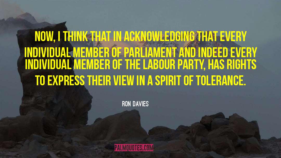 Labour Party quotes by Ron Davies