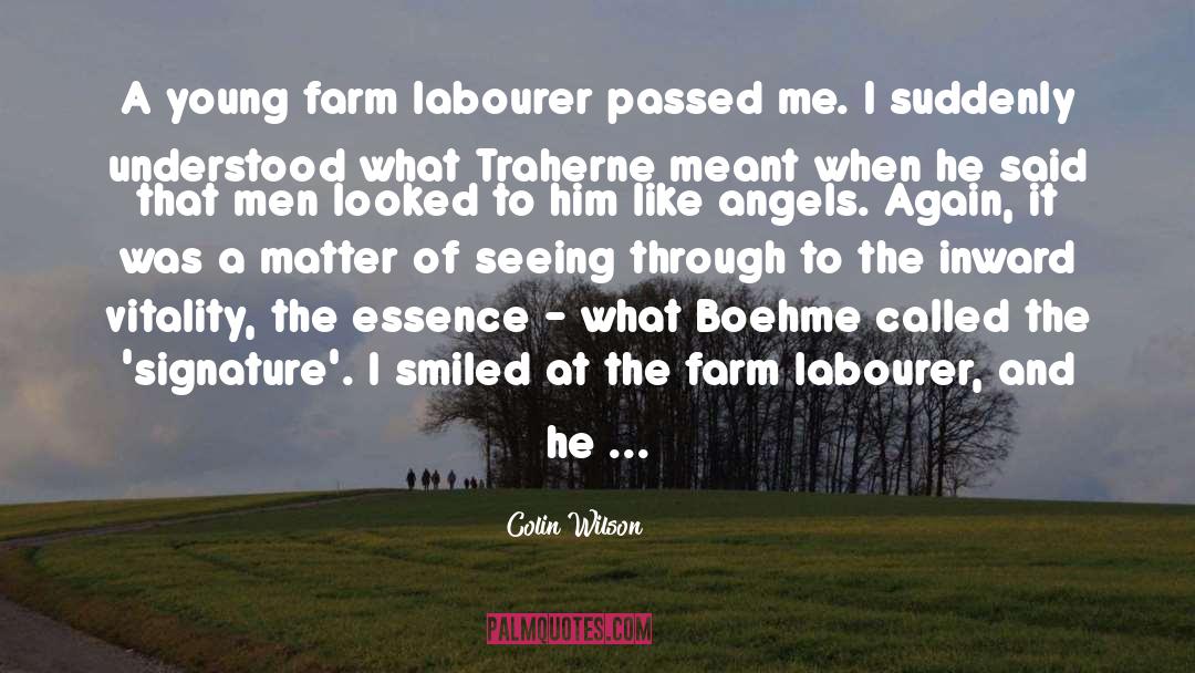 Labourer quotes by Colin Wilson