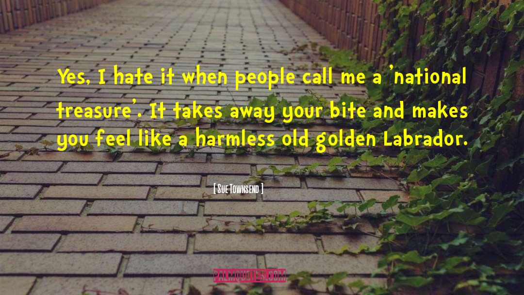 Labradors quotes by Sue Townsend