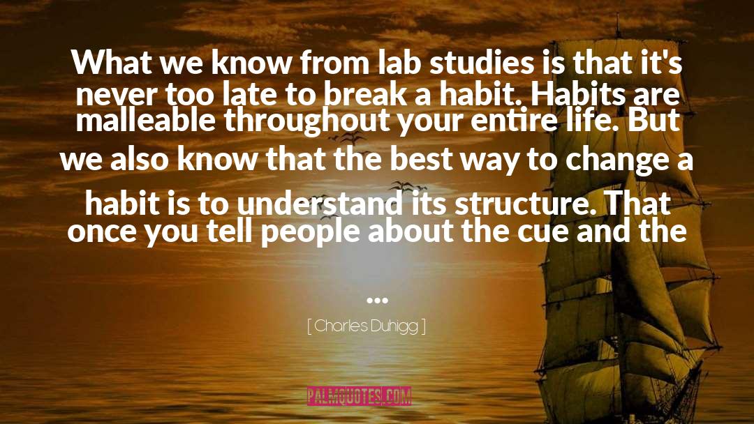 Labs quotes by Charles Duhigg