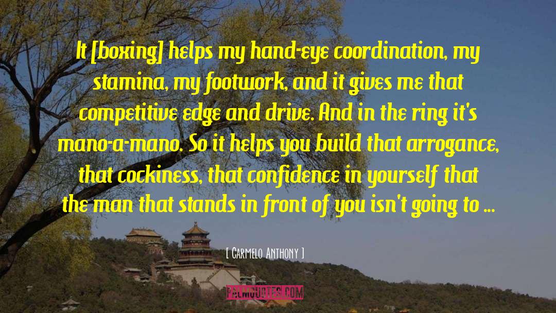 Labyrinth Helping Hands quotes by Carmelo Anthony