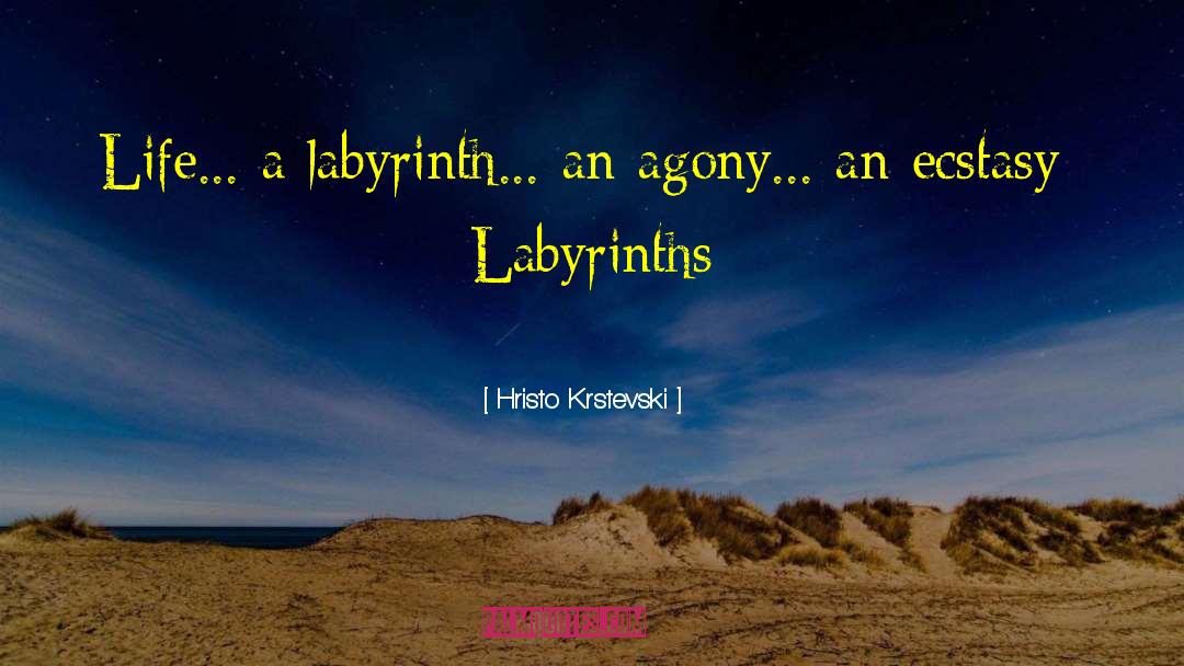 Labyrinths quotes by Hristo Krstevski