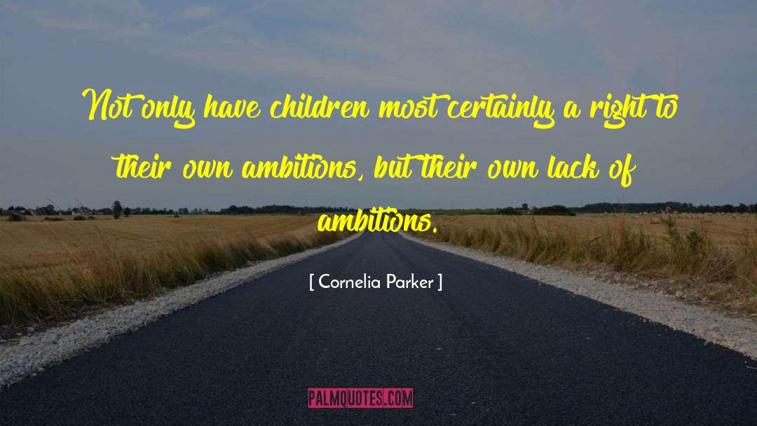 Lack Of Ambition quotes by Cornelia Parker