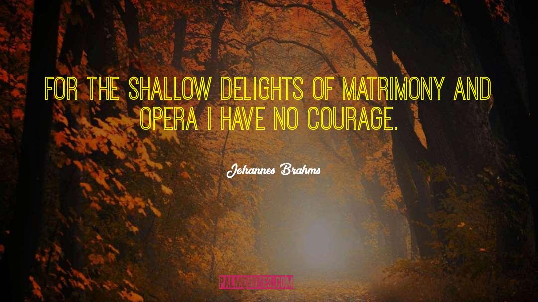 Lack Of Courage quotes by Johannes Brahms