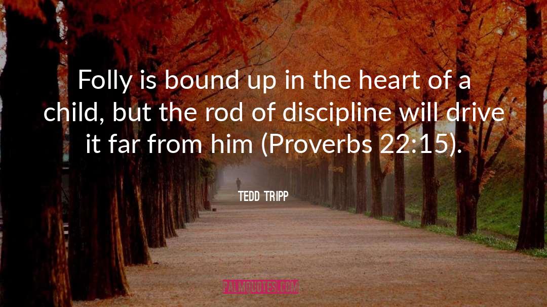 Lack Of Discipline quotes by Tedd Tripp