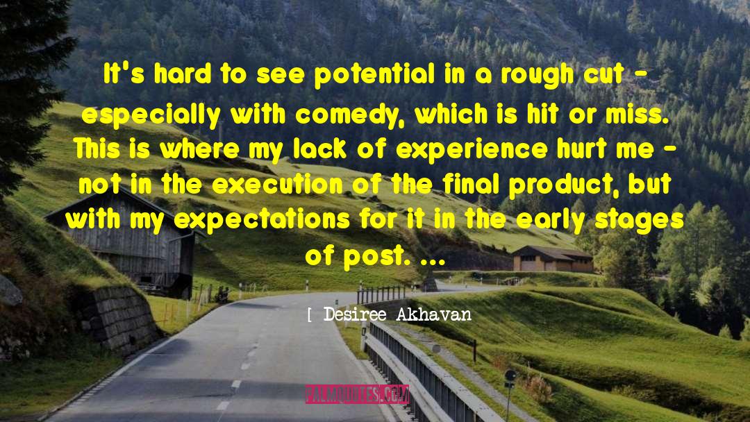 Lack Of Experience quotes by Desiree Akhavan