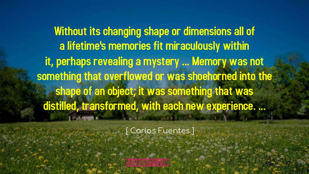 Lack Of Experience quotes by Carlos Fuentes
