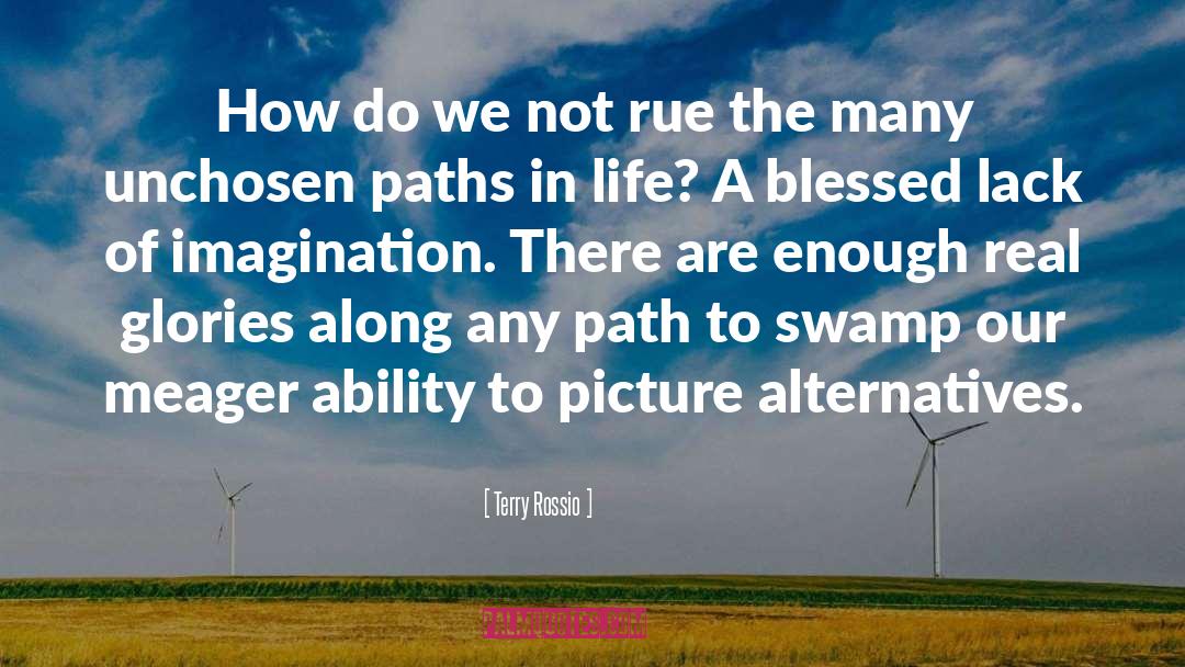 Lack Of Imagination quotes by Terry Rossio