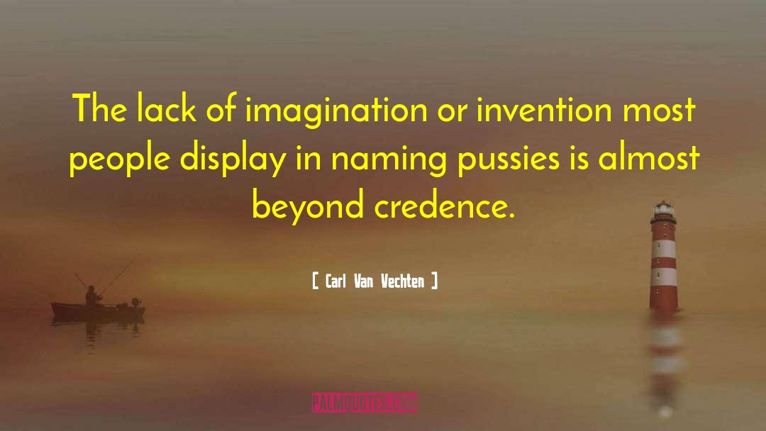 Lack Of Imagination quotes by Carl Van Vechten