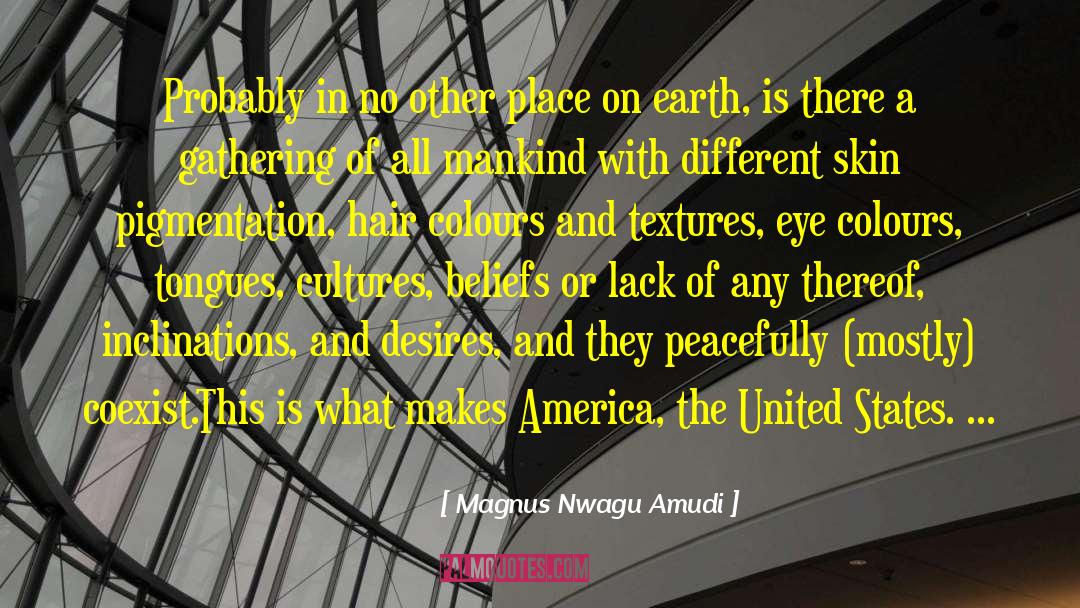 Lack Of Intelligence quotes by Magnus Nwagu Amudi