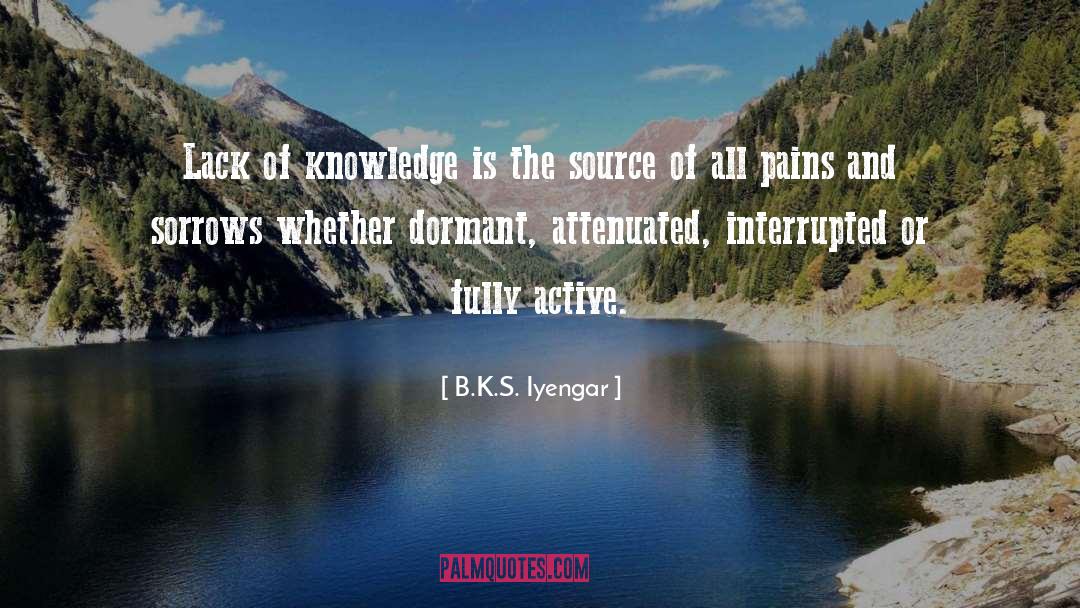 Lack Of Knowledge quotes by B.K.S. Iyengar