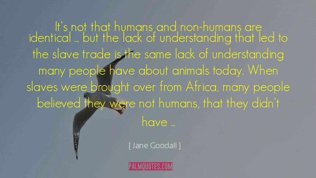 Lack Of Understanding quotes by Jane Goodall