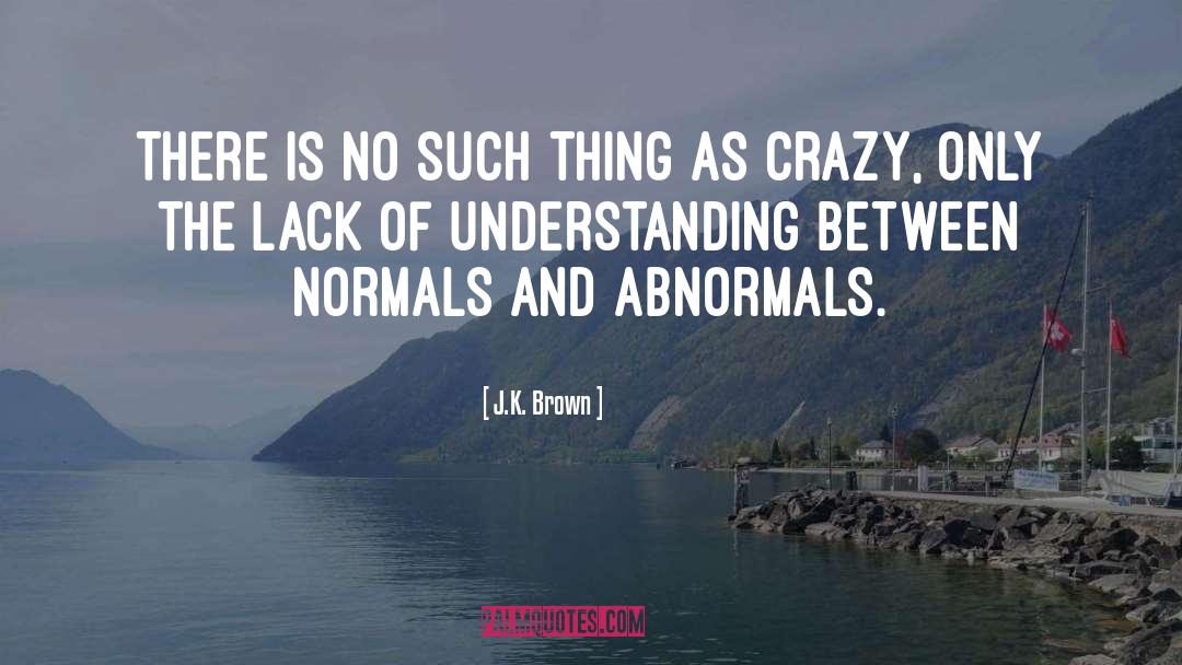 Lack Of Understanding quotes by J.K. Brown