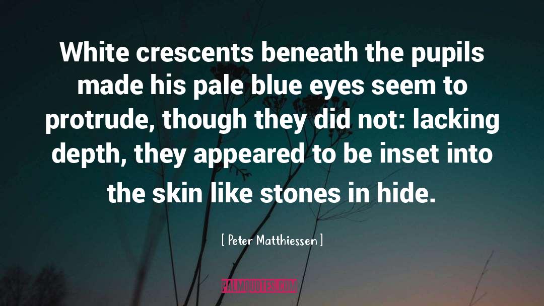 Lacking Depth quotes by Peter Matthiessen