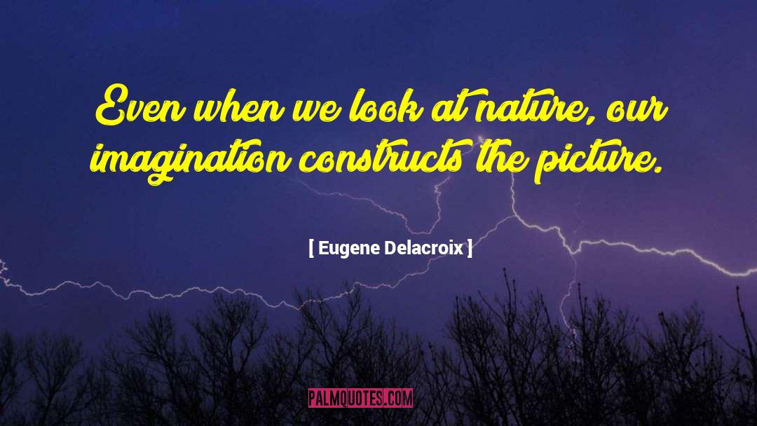 Lacking Imagination quotes by Eugene Delacroix