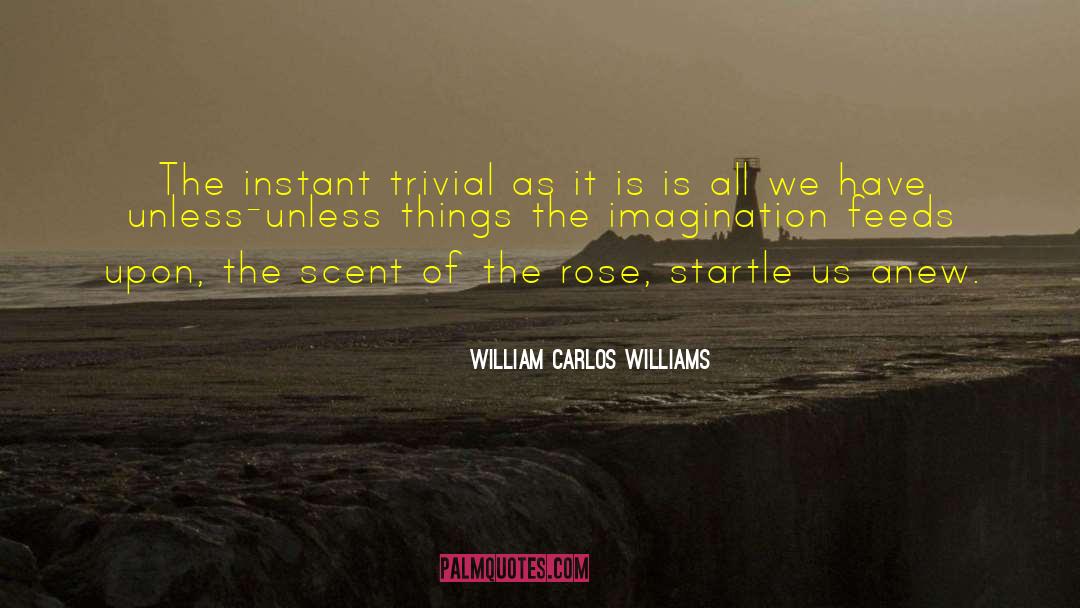 Lacking Imagination quotes by William Carlos Williams