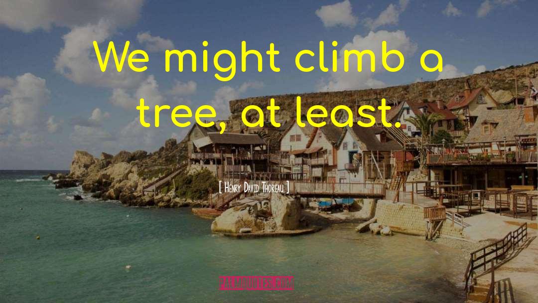 Ladder Climb quotes by Henry David Thoreau