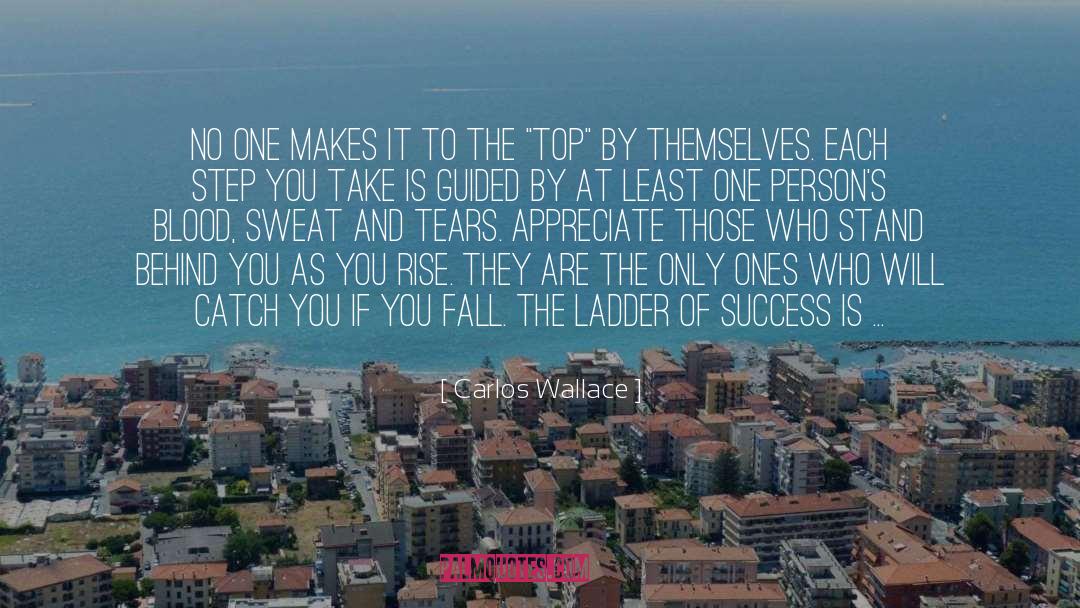 Ladder Of Success quotes by Carlos Wallace