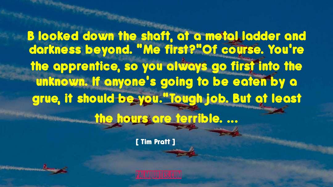 Ladder quotes by Tim Pratt