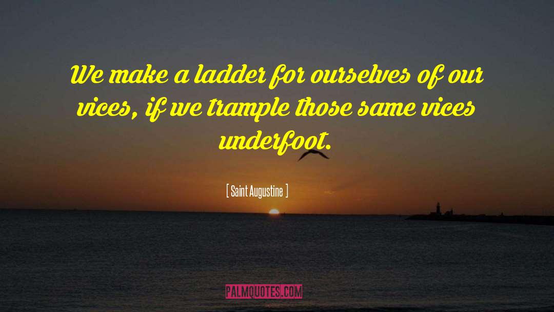 Ladder quotes by Saint Augustine