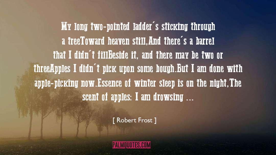 Ladders quotes by Robert Frost