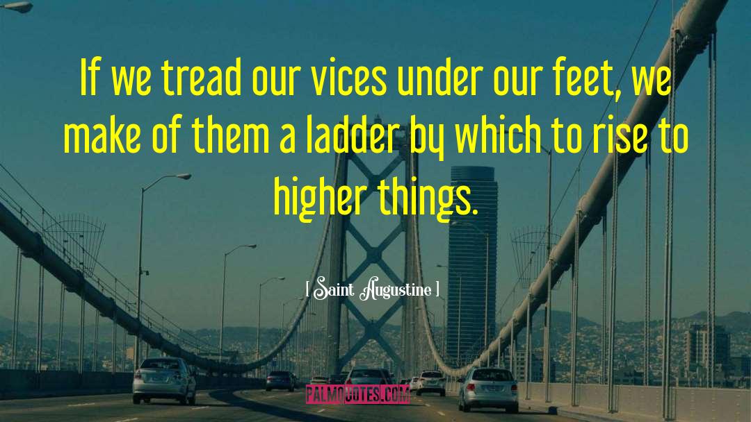 Ladders quotes by Saint Augustine