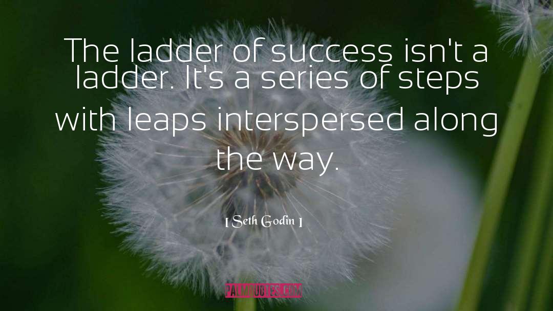 Ladders quotes by Seth Godin