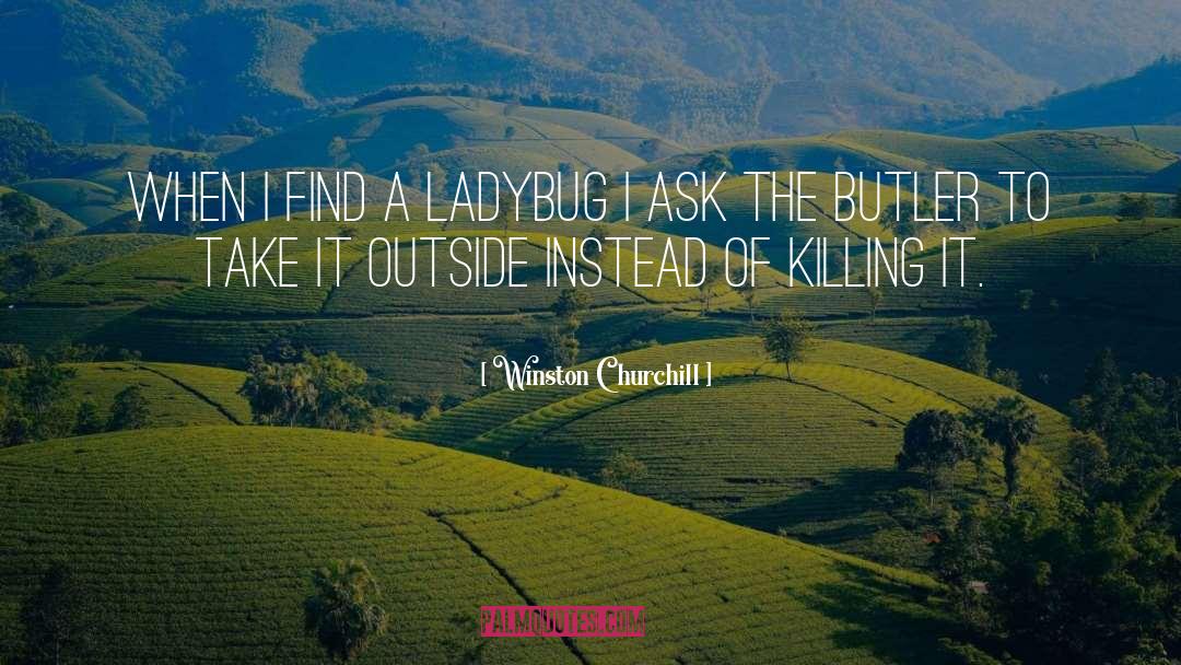 Ladybugs quotes by Winston Churchill