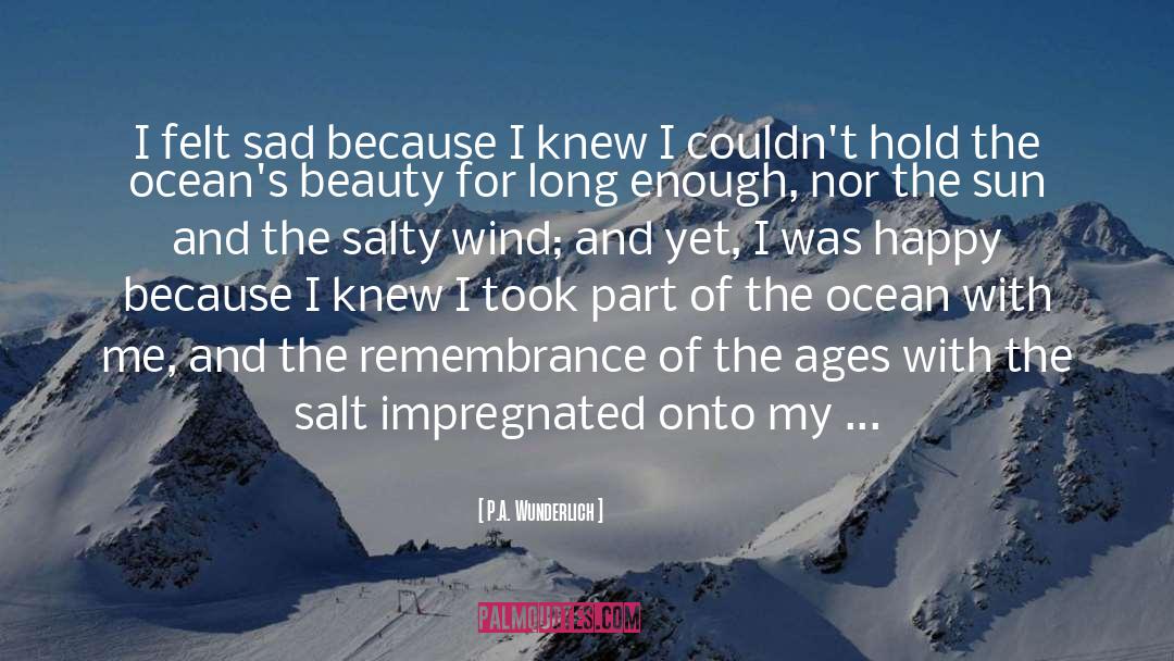 Laesa Salt quotes by P.A. Wunderlich