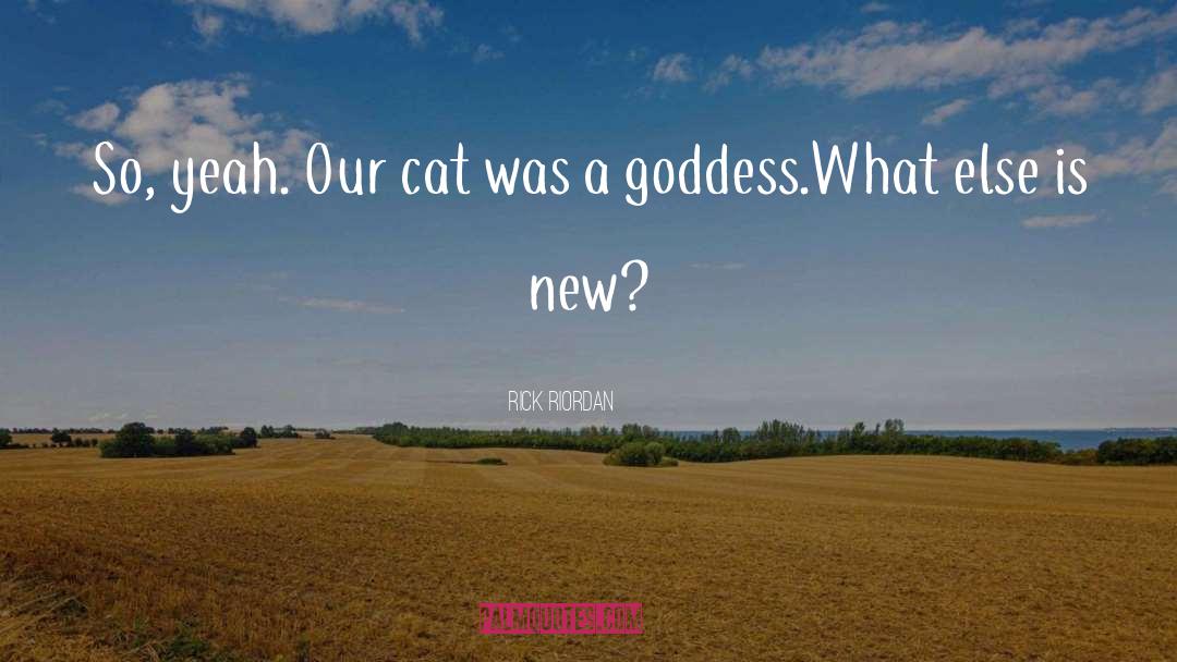 Lagerfelds Cat quotes by Rick Riordan
